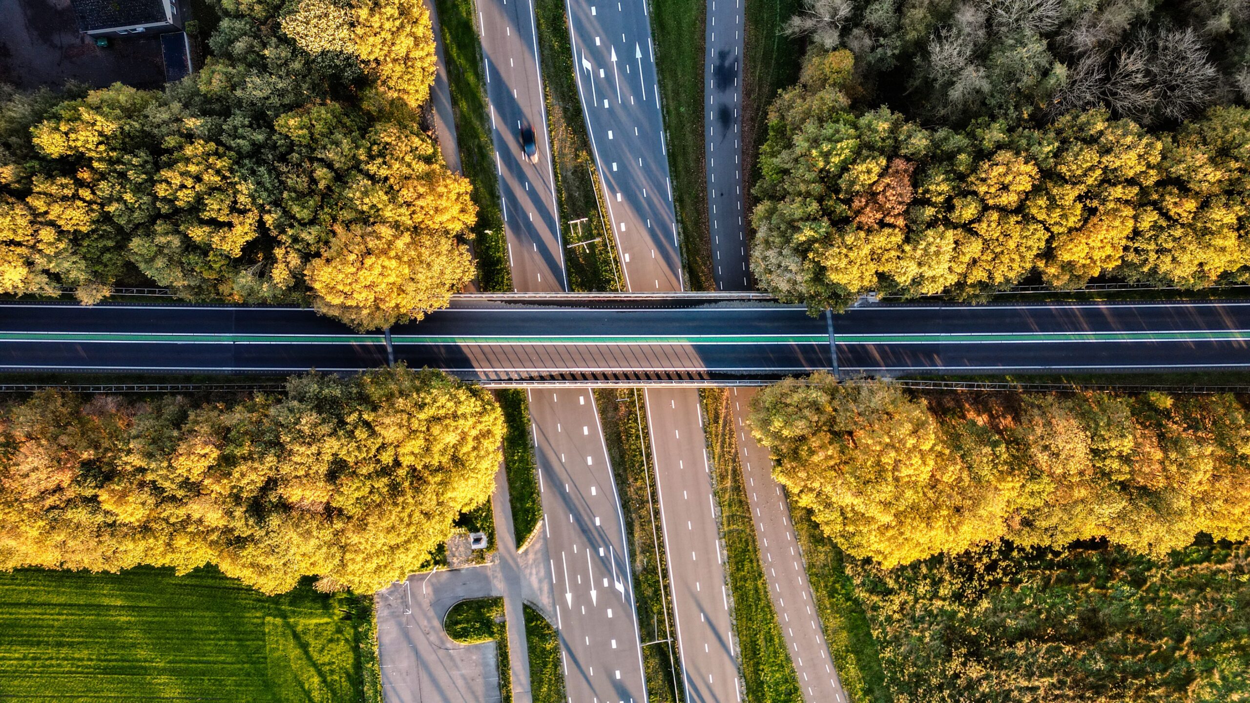 Cyprus Transfer Pricing 2026: New Thresholds & Simplification Measures